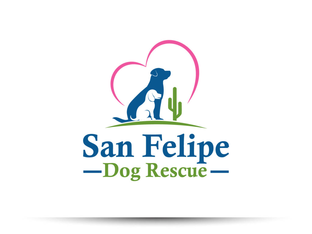 San Felipe Dog Rescue