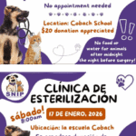 SNIP Clinic