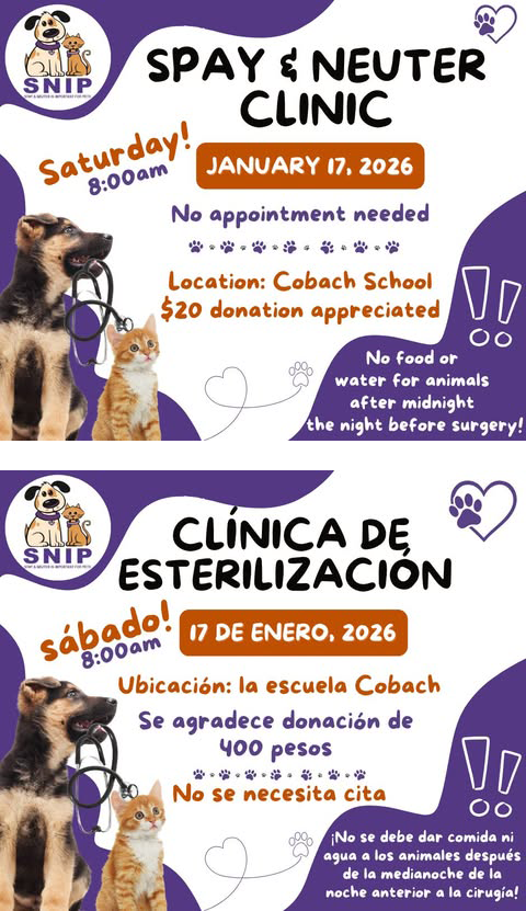 SNIP Clinic